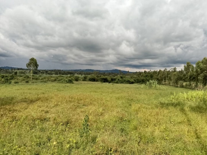 4 Acres Agricultural Land for Lease in Uriri Sub-County – Ideal for Sugarcane Farming | Ksh 27,000 per Acre (5-Year Term)