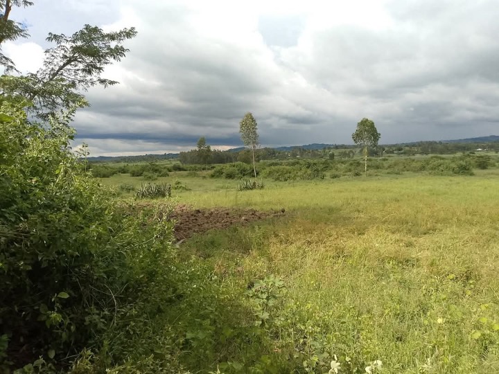 4 Acres Agricultural Land for Lease in Uriri Sub-County – Ideal for Sugarcane Farming | Ksh 27,000 per Acre (5-Year Term)