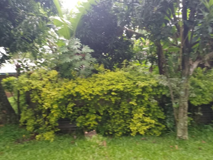 RARE 1-Acre Prime Land for Sale Next to Rongo Catholic Church – Ideal for Investment, Residential, or Institutional Use | Ksh 9M