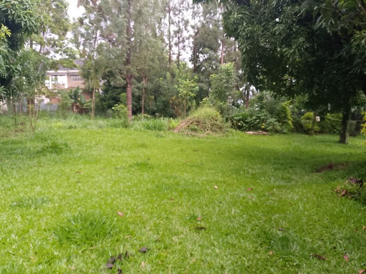 RARE 1-Acre Prime Land for Sale Next to Rongo Catholic Church – Ideal for Investment, Residential, or Institutional Use | Ksh 9M