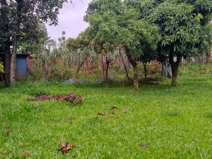 RARE 1-Acre Prime Land for Sale Next to Rongo Catholic Church – Ideal for Investment, Residential, or Institutional Use | Ksh 9M