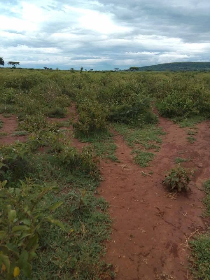 300 Acres of Fertile Agricultural Land for Lease – Kampi ya Moto, Nakuru