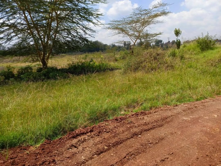Land_plot for sale at Muthaiga north 