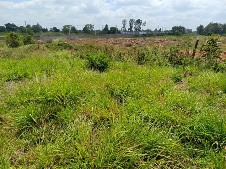 20 Acres for Sale in Muthaiga North – Ideal for Gated Community or School Development | KES 85M per Acre