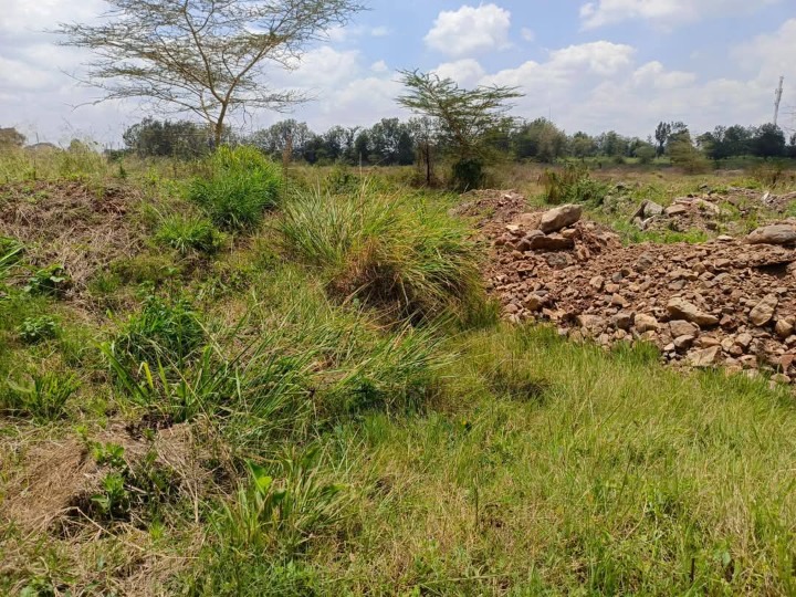 20 Acres for Sale in Muthaiga North – Ideal for Gated Community or School Development | KES 85M per Acre