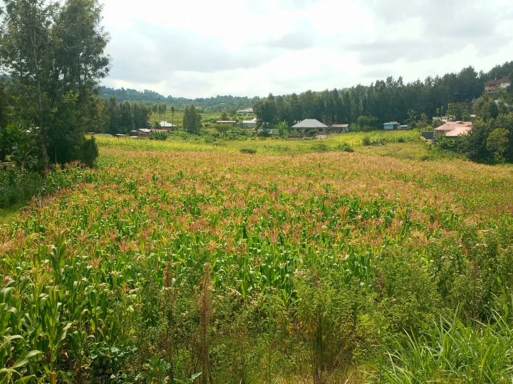 Land_plot for sale at Kaurai ,kiserian ngong 