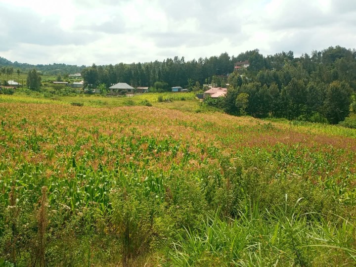 Prime 3 Acres for Sale in Kiserian Along Kaurai Road | Ksh 14M Per Acre | Ideal for Homes, Farming & Development