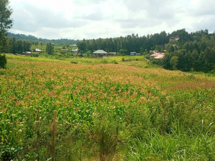 Prime 3 Acres for Sale in Kiserian Along Kaurai Road | Ksh 14M Per Acre | Ideal for Homes, Farming & Development