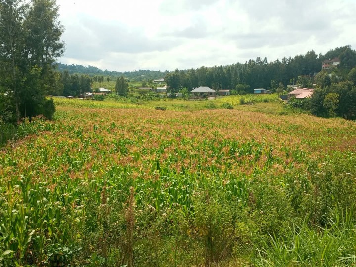Prime 3 Acres for Sale in Kiserian Along Kaurai Road | Ksh 14M Per Acre | Ideal for Homes, Farming & Development