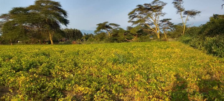 Land_plot for sale at Meru-isiolo road