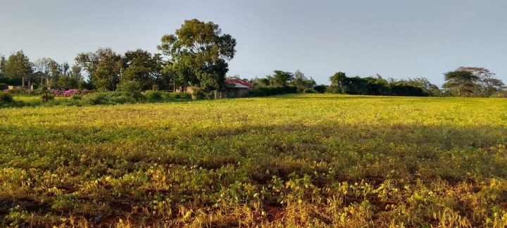 8 Acres for Sale in Ruiri, Meru County | Touching Meru–Isiolo Tarmac | Ksh 1.8M Per Acre | Title Ready