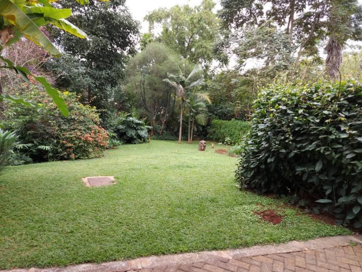 3-Bedroom Standalone House for Rent in Old Muthaiga | Furnished/Unfurnished | USD 4,000 Minimum Rent