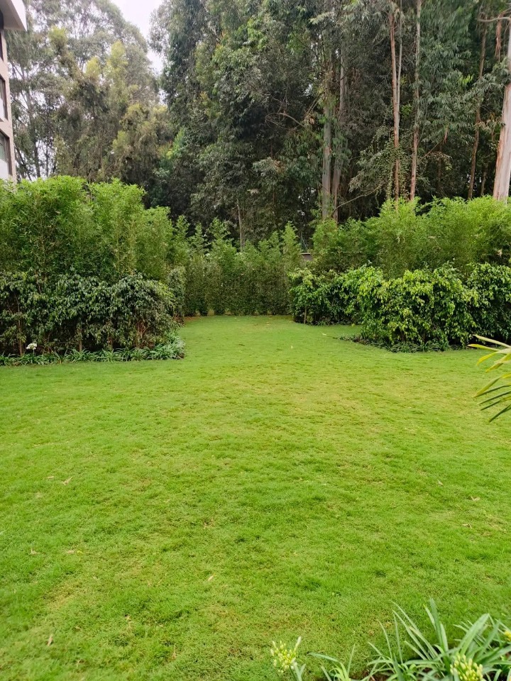 2-Bedroom Fully Furnished Executive Apartment