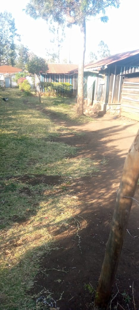 Prime Land for Sale – Nchiru, Tigania West (Near Meru University