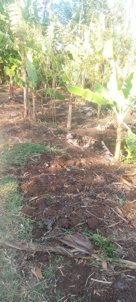 Prime Land for Sale – Nchiru, Tigania West (Near Meru University
