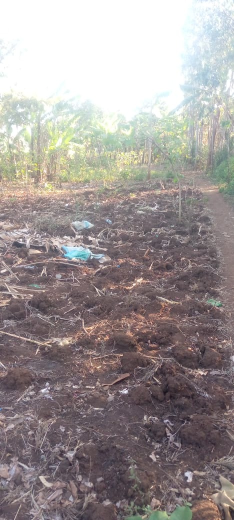 Prime Land for Sale – Nchiru, Tigania West (Near Meru University