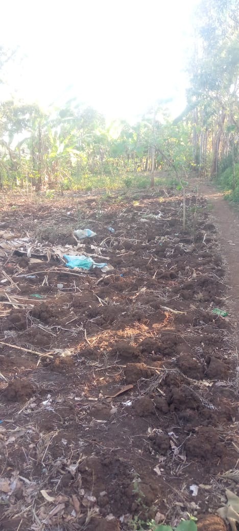 Prime Land for Sale – Nchiru, Tigania West (Near Meru University