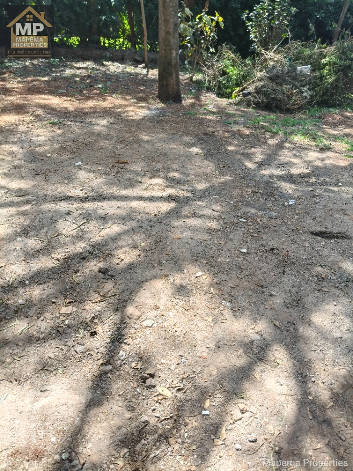 š” Rare Opportunity in Karen ā Co-Owned ½ Acre Plot with Development Potential