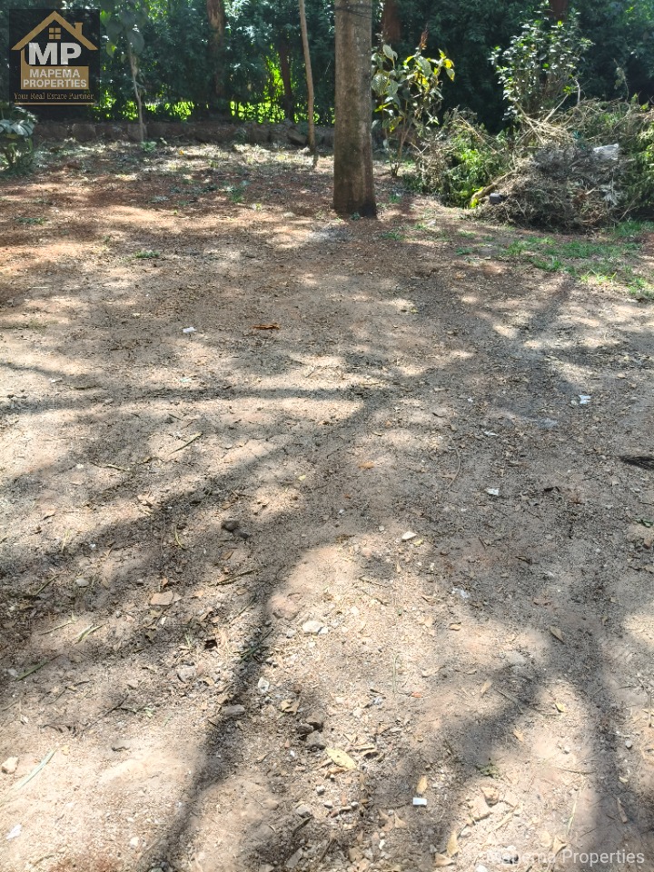 š” Rare Opportunity in Karen ā Co-Owned ½ Acre Plot with Development Potential