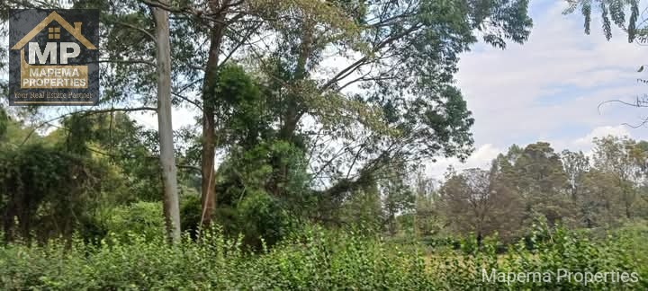 5 acres Prime Land for Sale - Karen