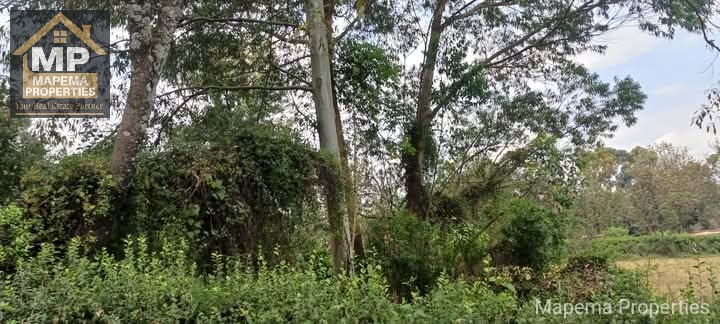 5 acres Prime Land for Sale - Karen