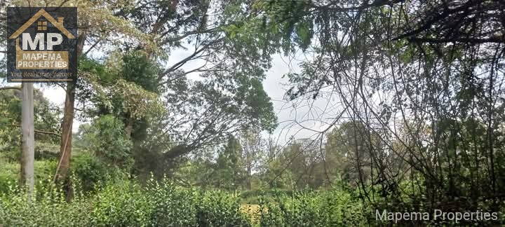 5 acres Prime Land for Sale - Karen