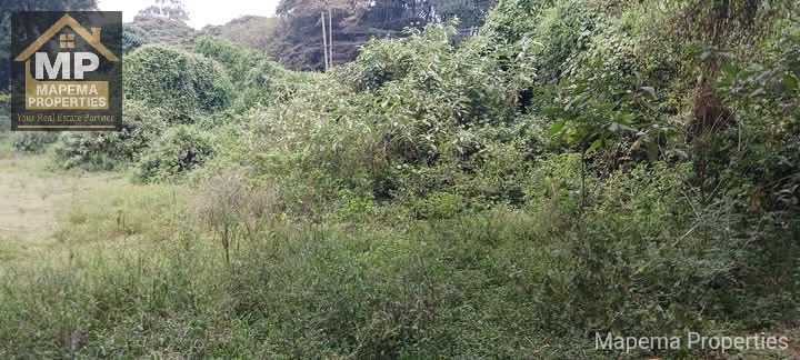 5 acres Prime Land for Sale - Karen