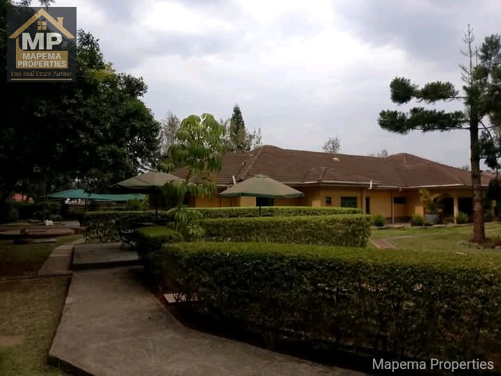 Commercial_property for rent at Karen