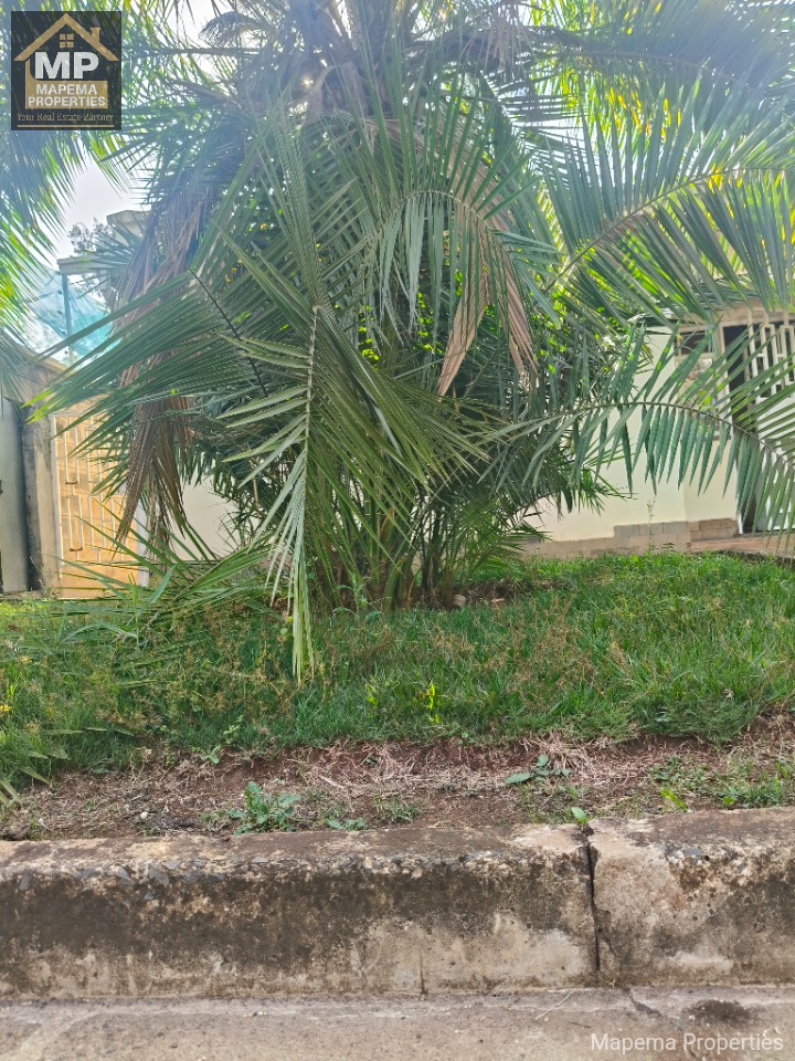 2-Bedroom House for Rent – Karen (Near Kenya School of Law)