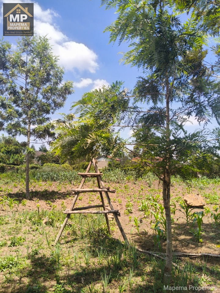 1.3 acre land for sale in Karen Fana Road.