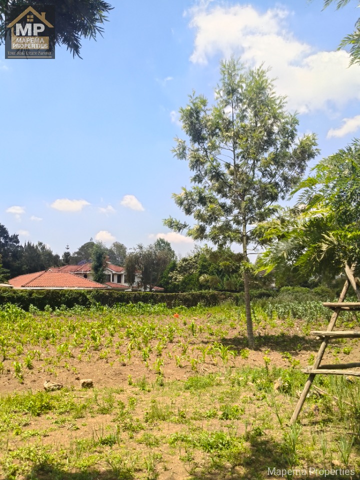 1.3 acre land for sale in Karen Fana Road.