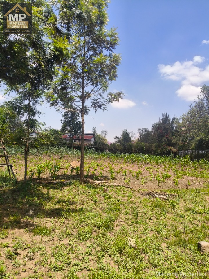 Land_plot for sale at Fana road