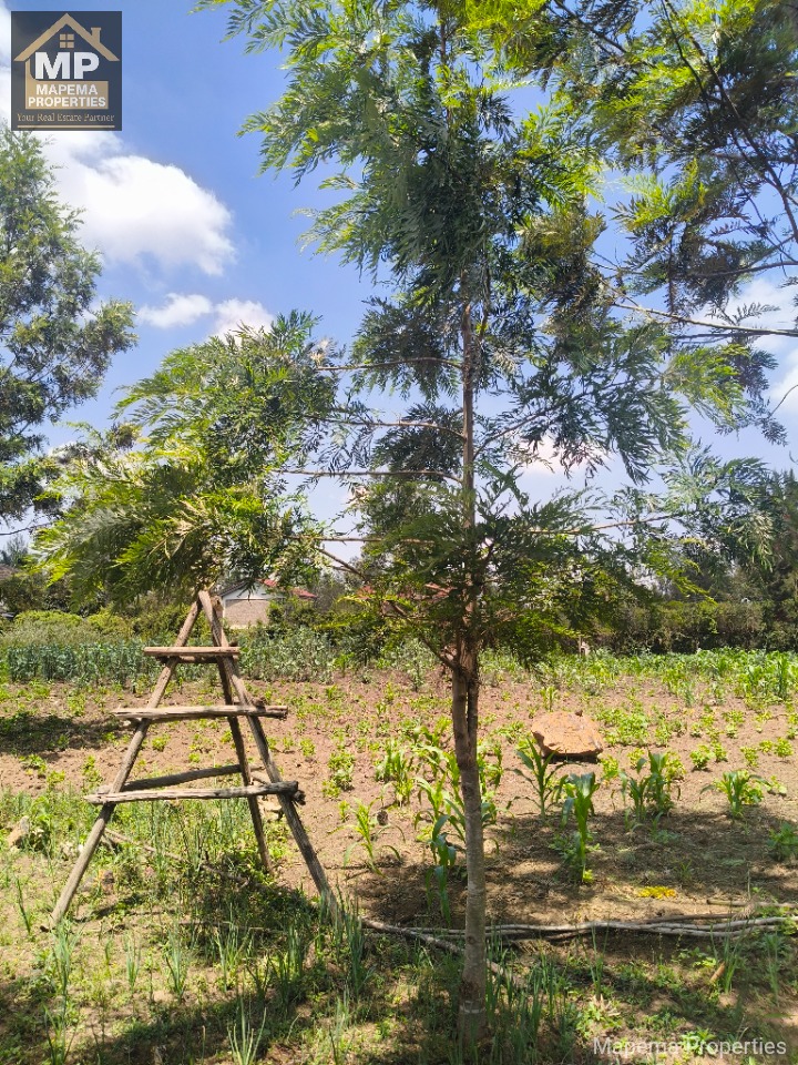 1.3 acre land for sale in Karen Fana Road.