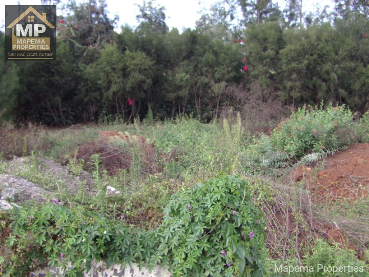 Commercial_property for sale at Bomas of kenya