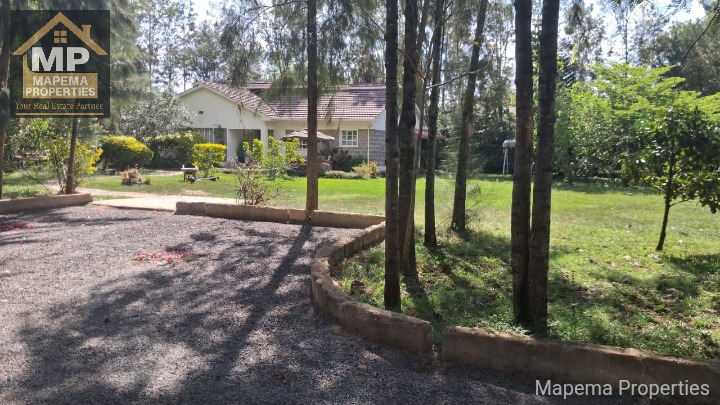 House for rent at Karen area