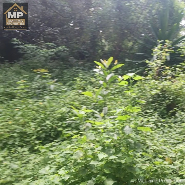 FOR SALE | Windyridge, Karen 1 Acre Prime Land | Ksh 150M