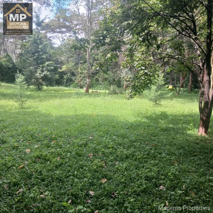 Land_plot for sale at Windy ridge