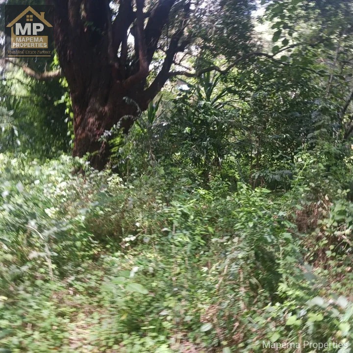 FOR SALE | Windyridge, Karen 1 Acre Prime Land | Ksh 150M