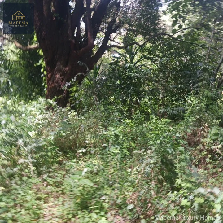 1 Acre Prime Land for Sale – Windyridge, Karen