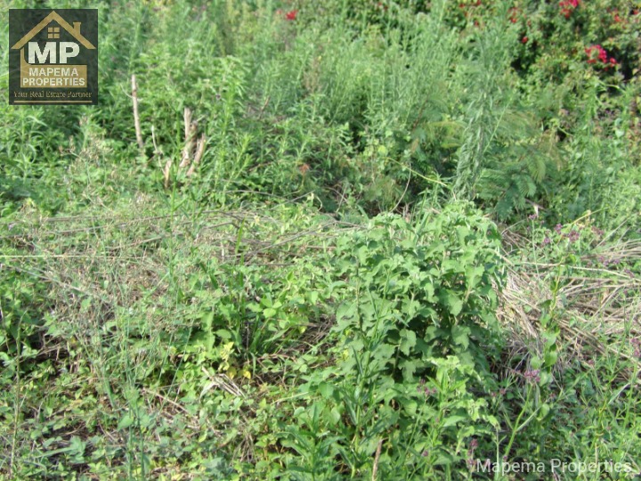 Land_plot for sale at Bomas of kenya