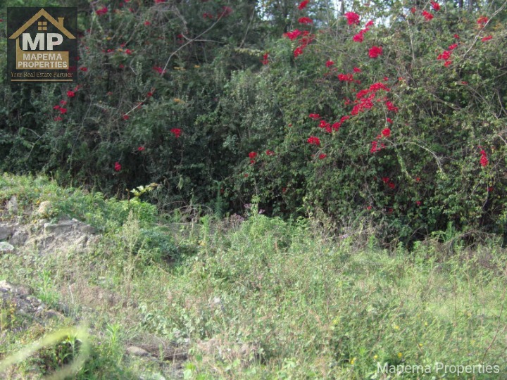 FOR SALE – Prime ½ Acre Commercial Land, Karen (Opposite Galleria Mall / bomas of Kenya) Price: KSh 75,000,000