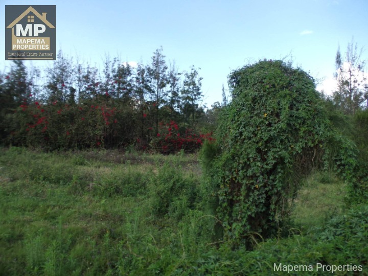 FOR SALE – Prime ½ Acre Commercial Land, Karen (Opposite Galleria Mall / bomas of Kenya) Price: KSh 75,000,000