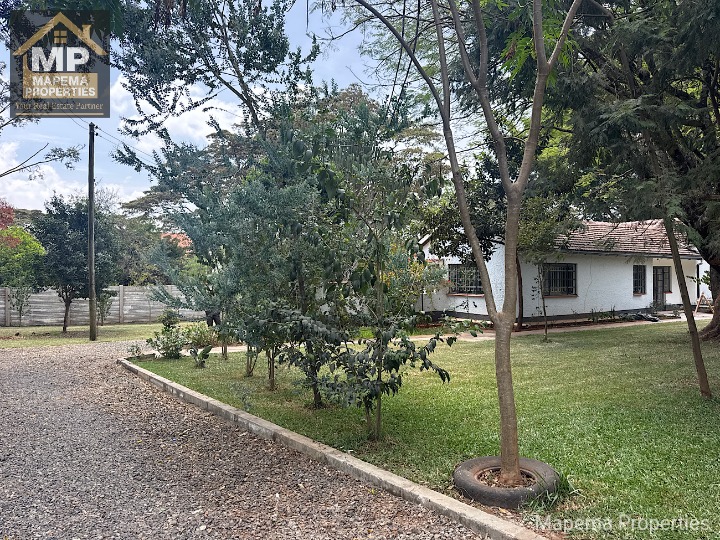 House for rent at Murishu road