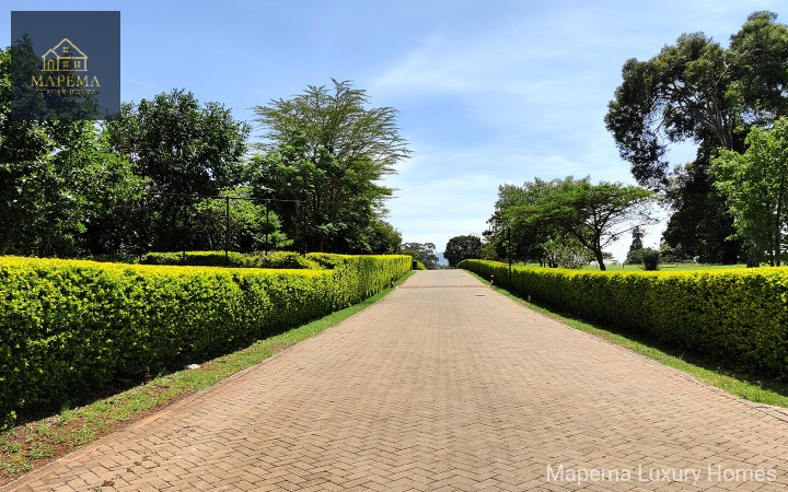 Prime 1-Acre Plot for Sale – Karen Hills, Windy Ridge