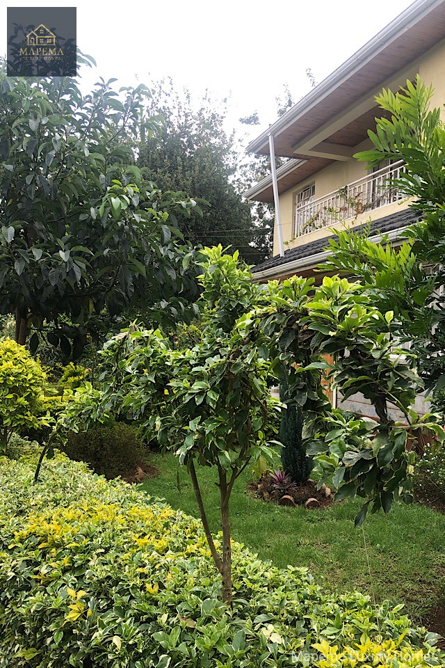 5 bedroom house for rent Karen,hardy