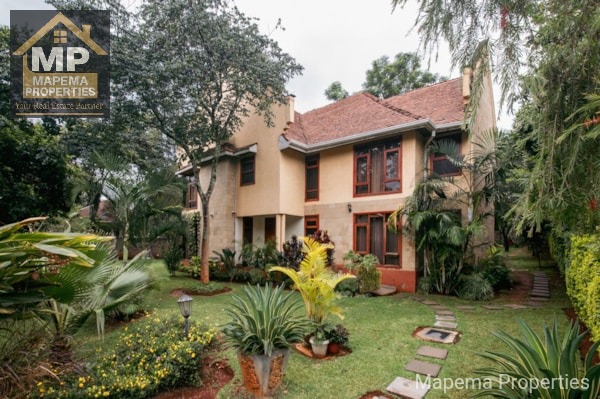 House for rent at Miotoni road