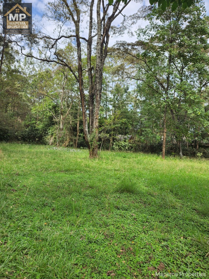 2.6 Acres for Sale – Windy Ridge, Karen