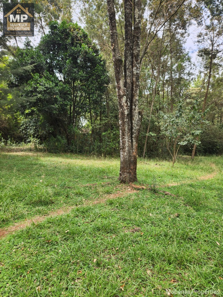 2.6 Acres for Sale – Windy Ridge, Karen