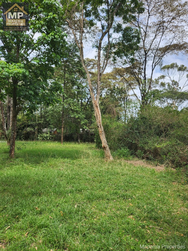 2.6 Acres for Sale – Windy Ridge, Karen