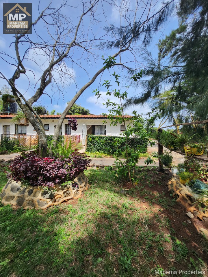 Spacious 1-Bedroom House for Rent in Karen – Bogani Road